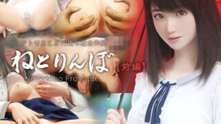NPC姦！ゲーム世界の女の子達を犯して回れ！！｜WORLD STORY