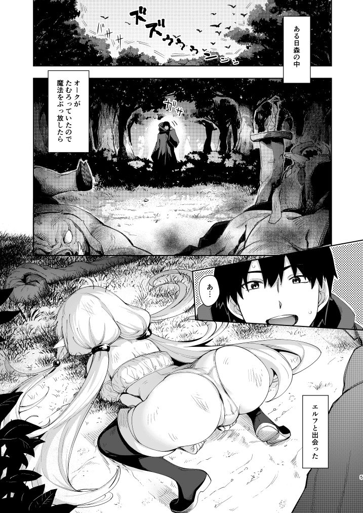 異世界来たので魔法をスケベな事に利用しようと思うII|あきのそら 異世界来たので魔法をスケベな事に利用しようと思うII|あきのそら