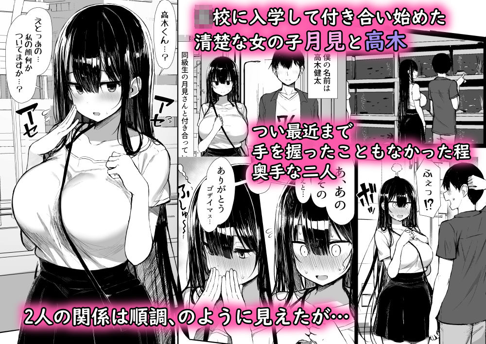 清楚彼女、堕ちる。II|ぐれもす 清楚彼女、堕ちる。II|ぐれもす