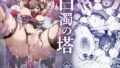 架空風俗体験レポ風漫画集｜誰塚