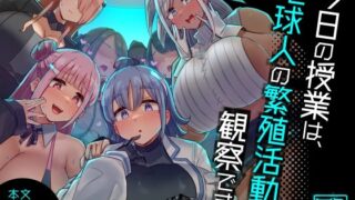 えっちぃのは嫌いです！！｜きょくちょ局