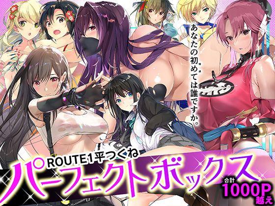 ROUTE1 平つくね パーフェクトボックス｜平つくね