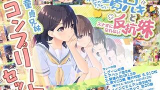 シスターマーガレットの受難｜ヘリを