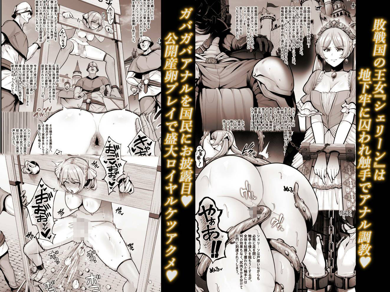 国辱の雌隷 -Fallen kingdom-｜せぶんがー