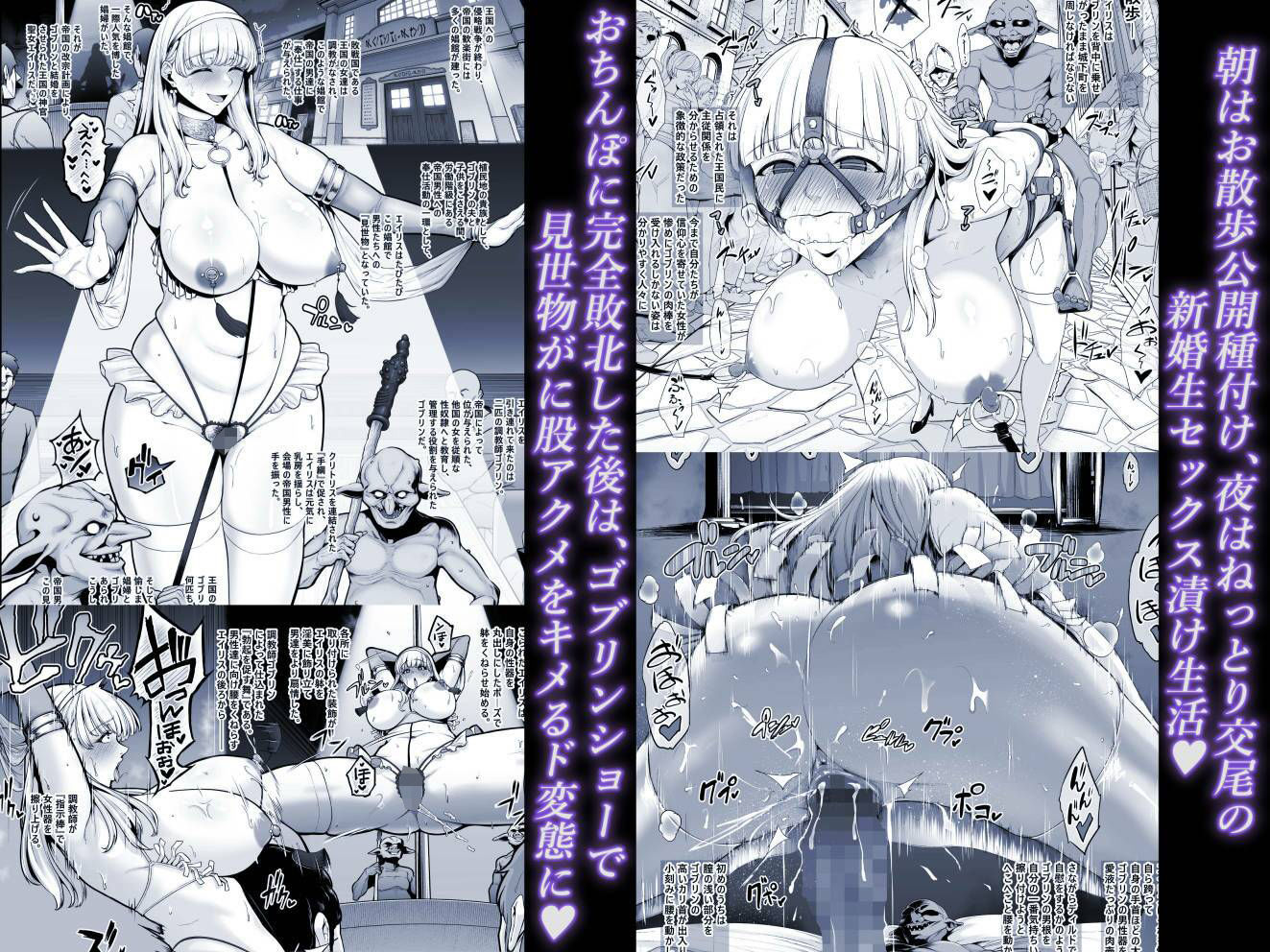 国辱の雌隷 -Fallen kingdom-｜せぶんがー