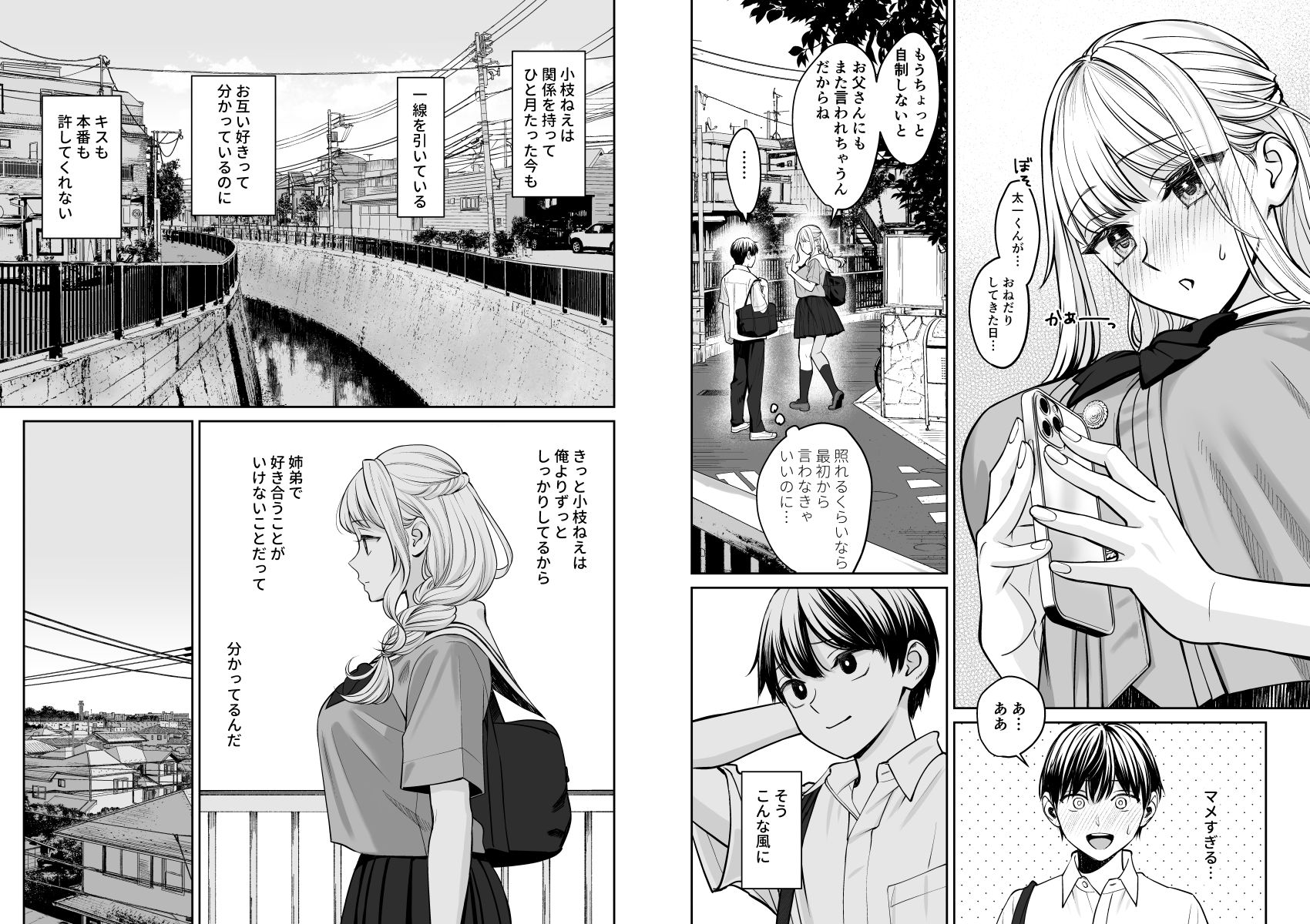 姉弟以外になれたなら｜大島あき