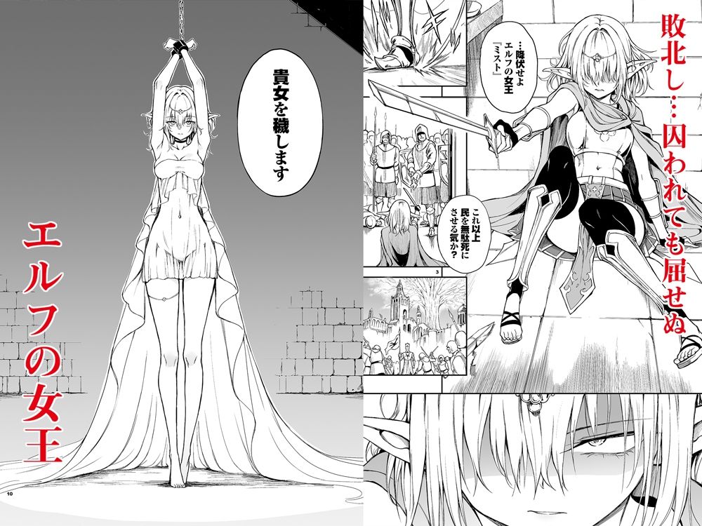 エルフ教育-亡国のミスト-｜きょくちょ局