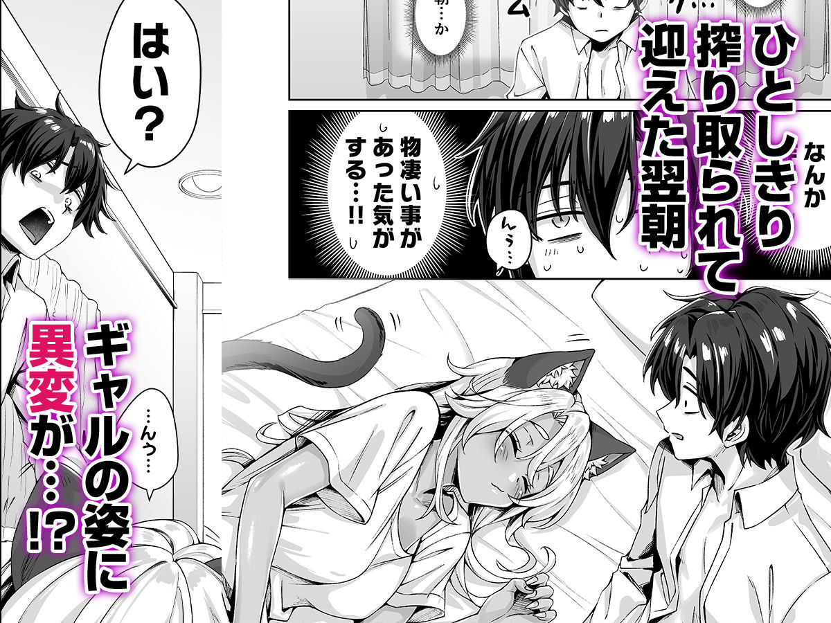 ギャル猫娘がうちに住み着いてなぜか毎日3P三昧になってしまう話｜koyuki屋