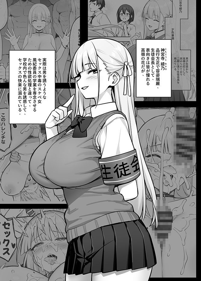 憧れの生徒会長が巨乳すぎる件 2｜TRY方言