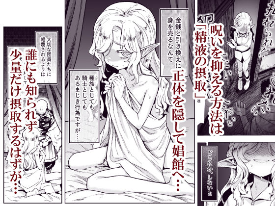 聖騎士団長様は婬術の治療のために娼館へ行きました|かに村えびお 聖騎士団長様は婬術の治療のために娼館へ行きました|かに村えびお