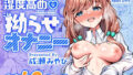 ROUTE1 平つくね パーフェクトボックス｜平つくね