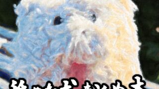 褐色肌版 委員長の催●海水浴｜STUDIOふあん