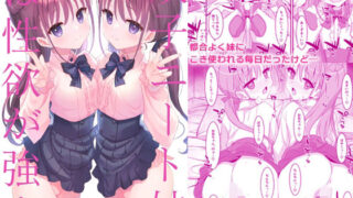 抱き枕ルイ・秘蜜の披露宴・5本セット｜MiMiACute