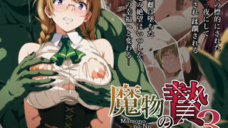 女体化したオレが清楚系ビッチの妹のせいでチャラ男に強●メス堕ち｜晴天艦