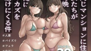 放課後子作り性教育-ピュアでスケベな発育良い子にマンツーマン中出し-｜sage・ジョー