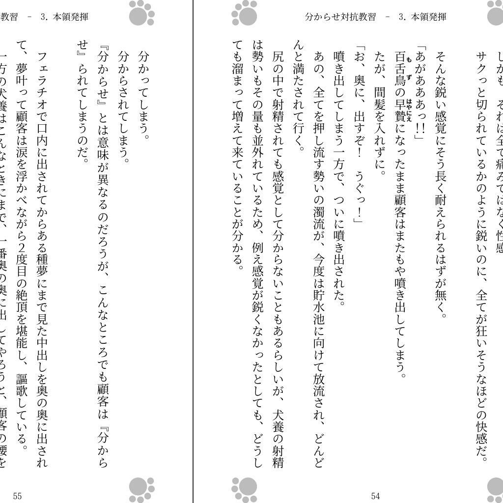 分からせ対抗教習|Gradual Improvement 分からせ対抗教習|Gradual Improvement