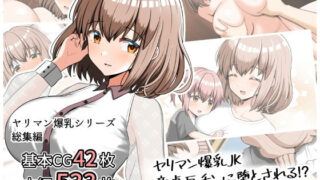 常識改変無様NTR〜弟をいじめる悪い子は正義の味方無様んこマンがお仕置きよ！〜｜割り箸効果