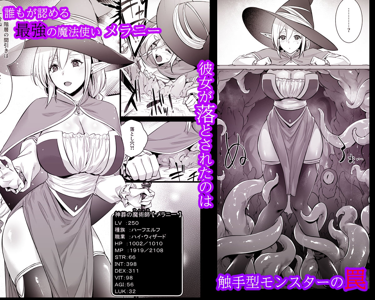 レベル250の魔法使いが感覚遮断落とし穴に堕ちてレベルドレインで人生が終わるまで|姫屋 レベル250の魔法使いが感覚遮断落とし穴に堕ちてレベルドレインで人生が終わるまで|姫屋