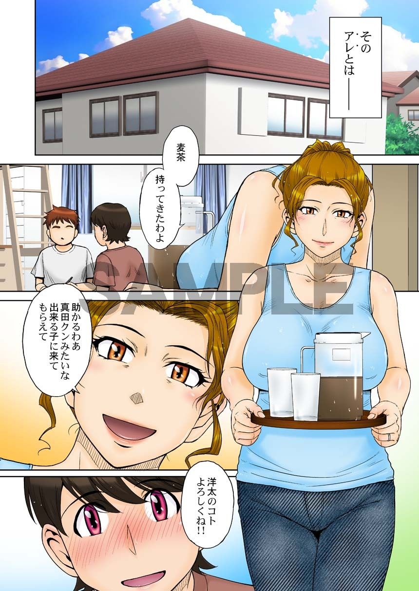 とある熟女好き男子のラブハメ交姦録File01｜月野定規