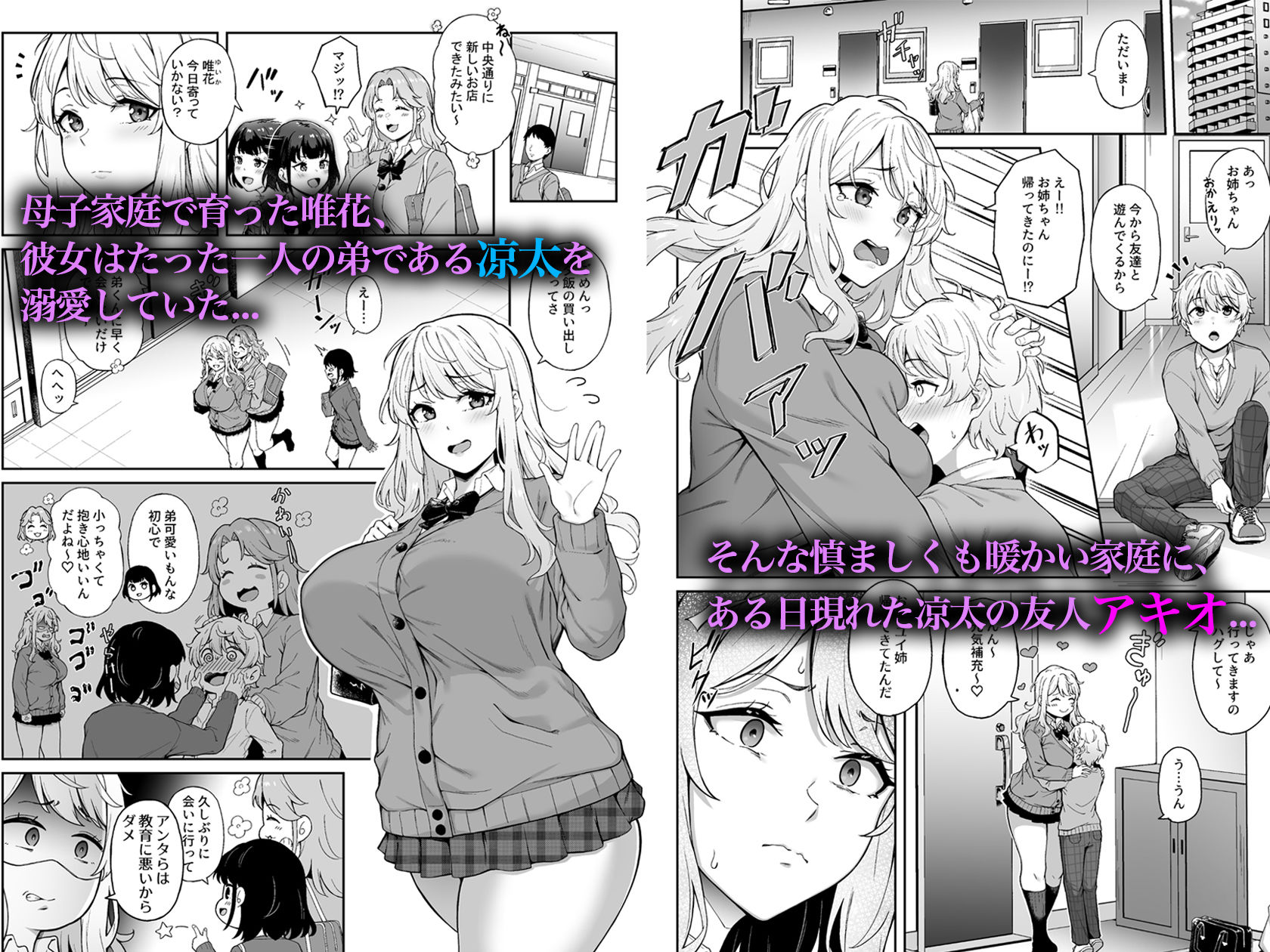 紫のショウメイ|3104丁目 紫のショウメイ|3104丁目