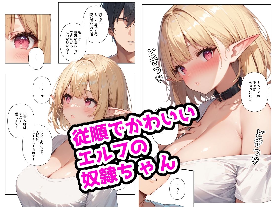愛しの奴●ちゃん 〜巨乳エルフ編〜｜ステーキくん