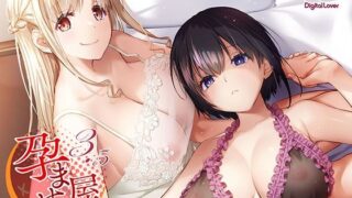 セックスクローゼット総集編｜みさおか