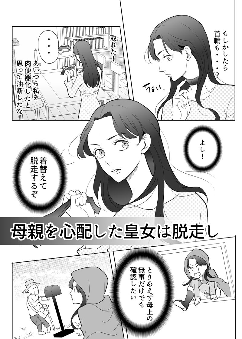 忠実?な騎士兄弟は傲慢皇女様を肉便器にしたい-(2)-皇女脱走編|G-Ray-B 忠実?な騎士兄弟は傲慢皇女様を肉便器にしたい-(2)-皇女脱走編|G-Ray-B