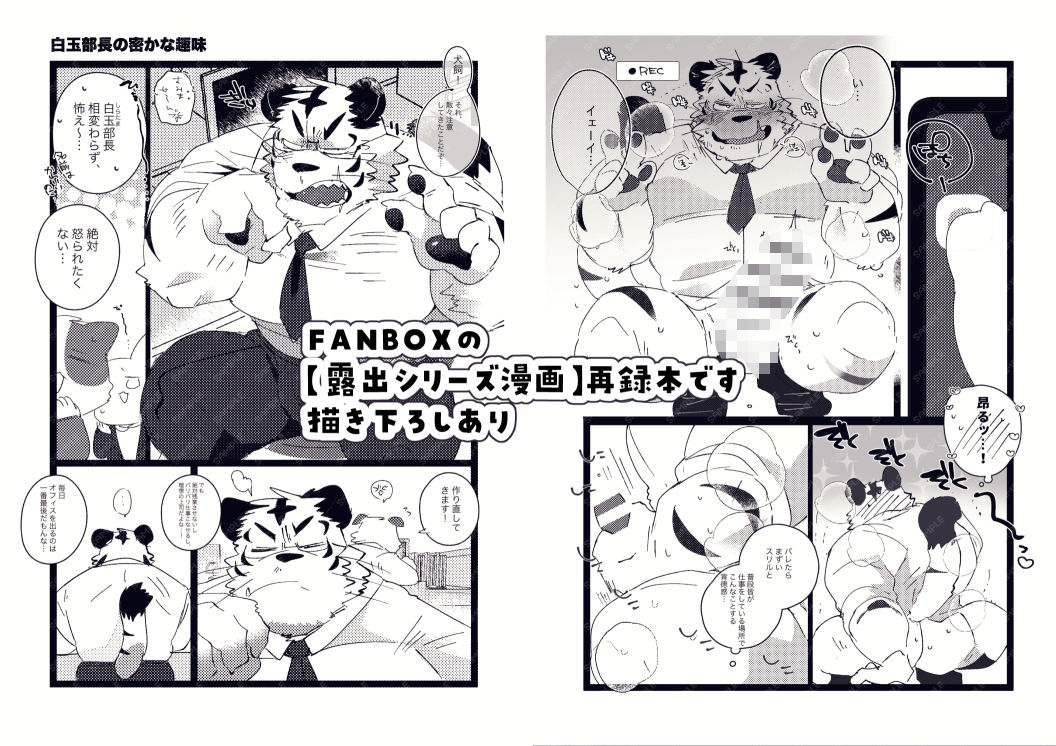 FANBOX COLLECTION 露出本|ヒャク FANBOX COLLECTION 露出本|ヒャク