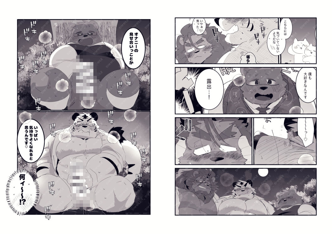 FANBOX COLLECTION 露出本|ヒャク FANBOX COLLECTION 露出本|ヒャク